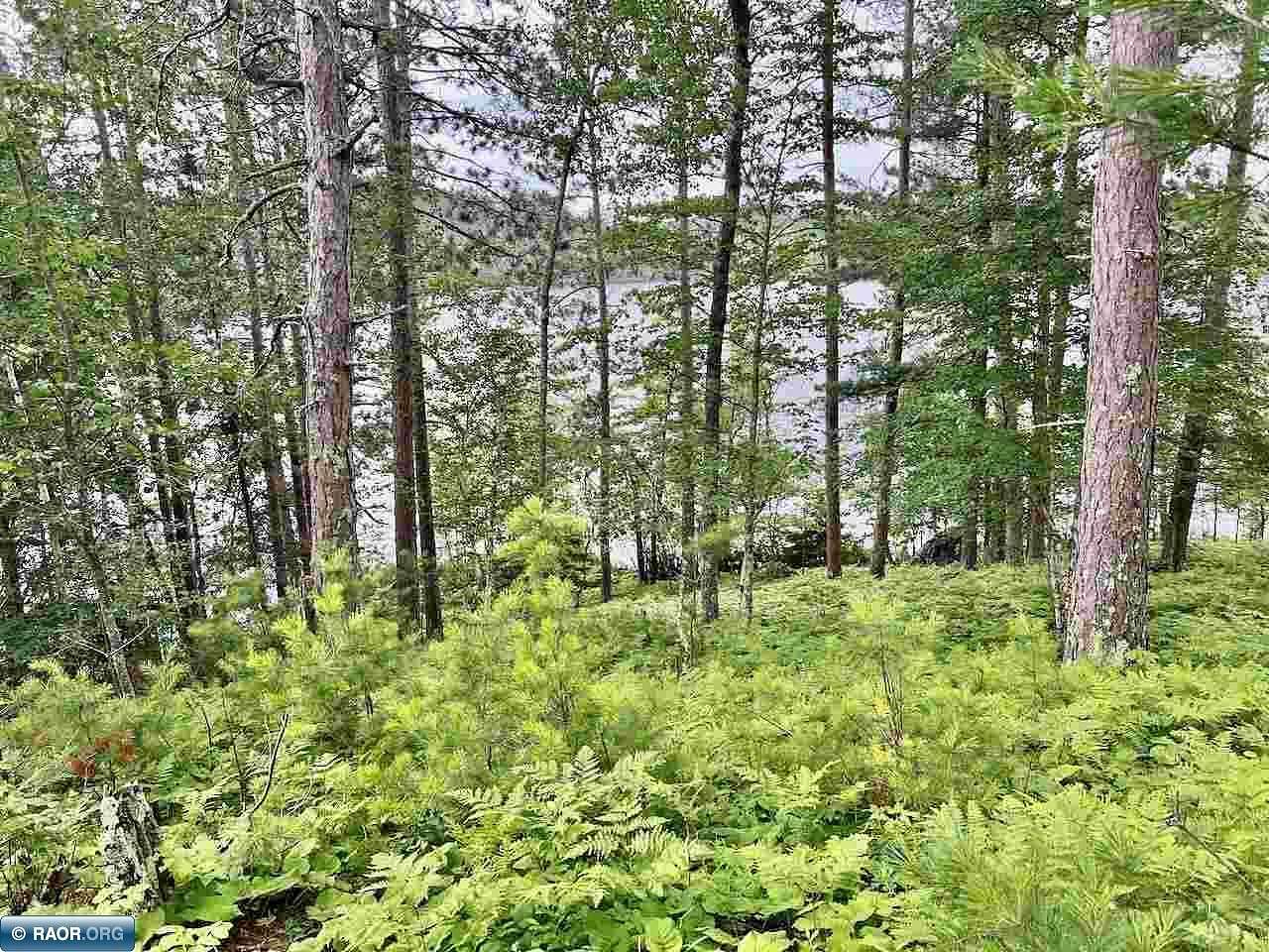 5.8 Acres of Land for Sale in Cook, Minnesota