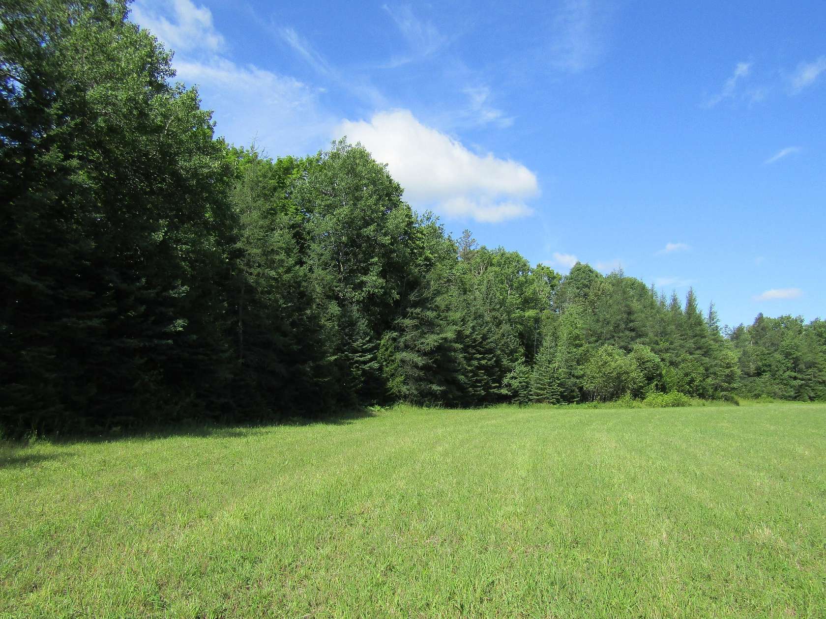 90 Acres of Land for Sale in Rogers City, Michigan