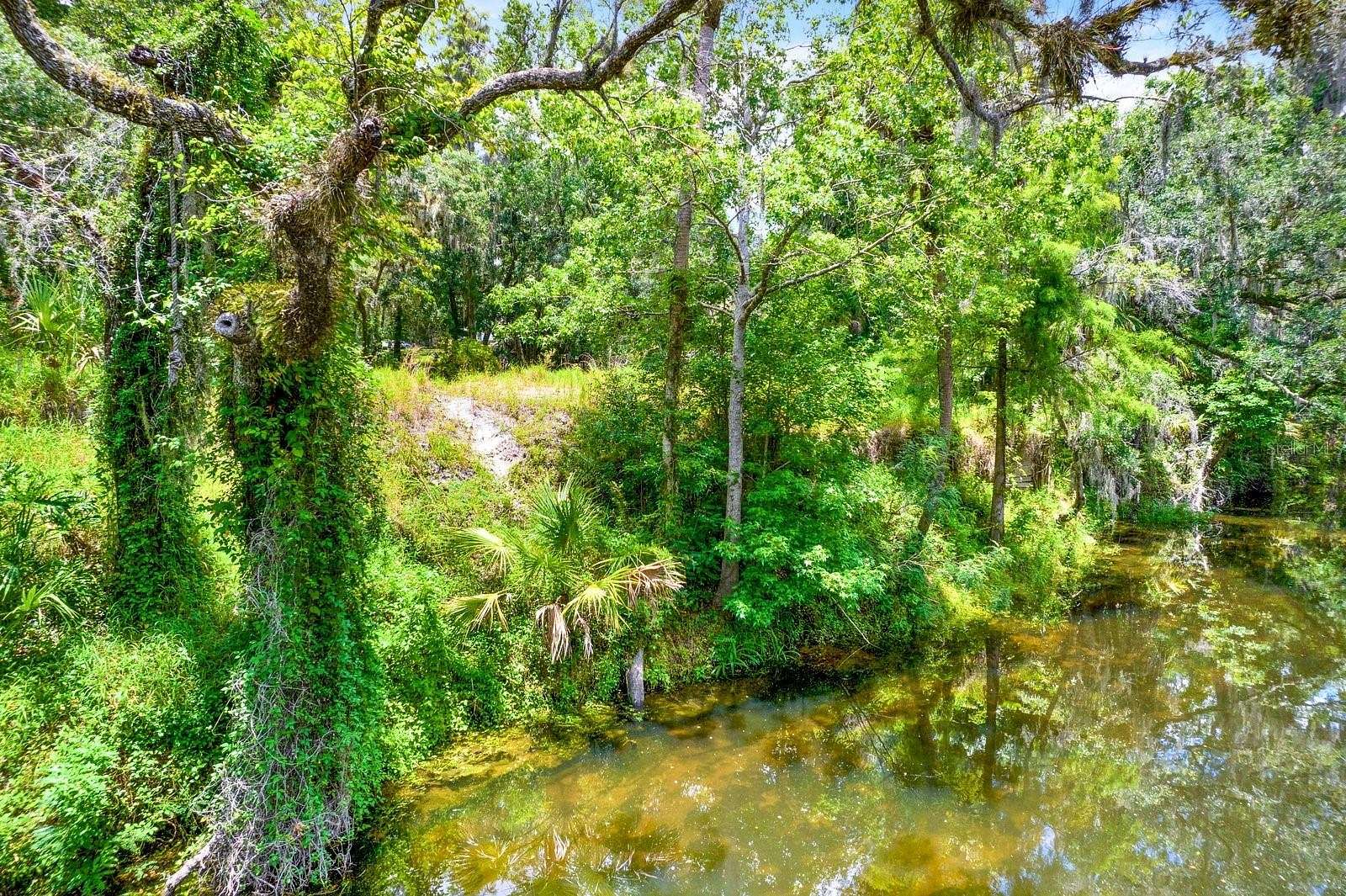 3.7 Acres of Residential Land for Sale in Valrico, Florida - LandSearch