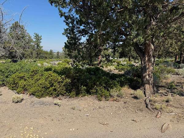 0.24 Acres of Land for Sale in Weed, California