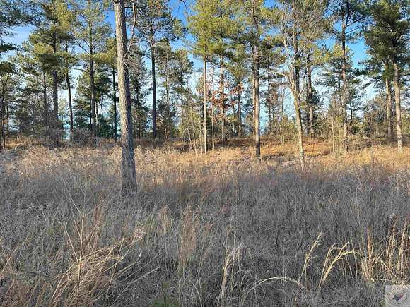 3.56 Acres of Land for Sale in Kirby, Arkansas