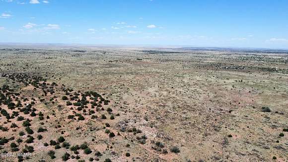 40.02 Acres of Land for Sale in Snowflake, Arizona