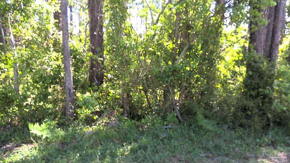 0.129 Acres of Residential Land for Sale in Pensacola, Florida