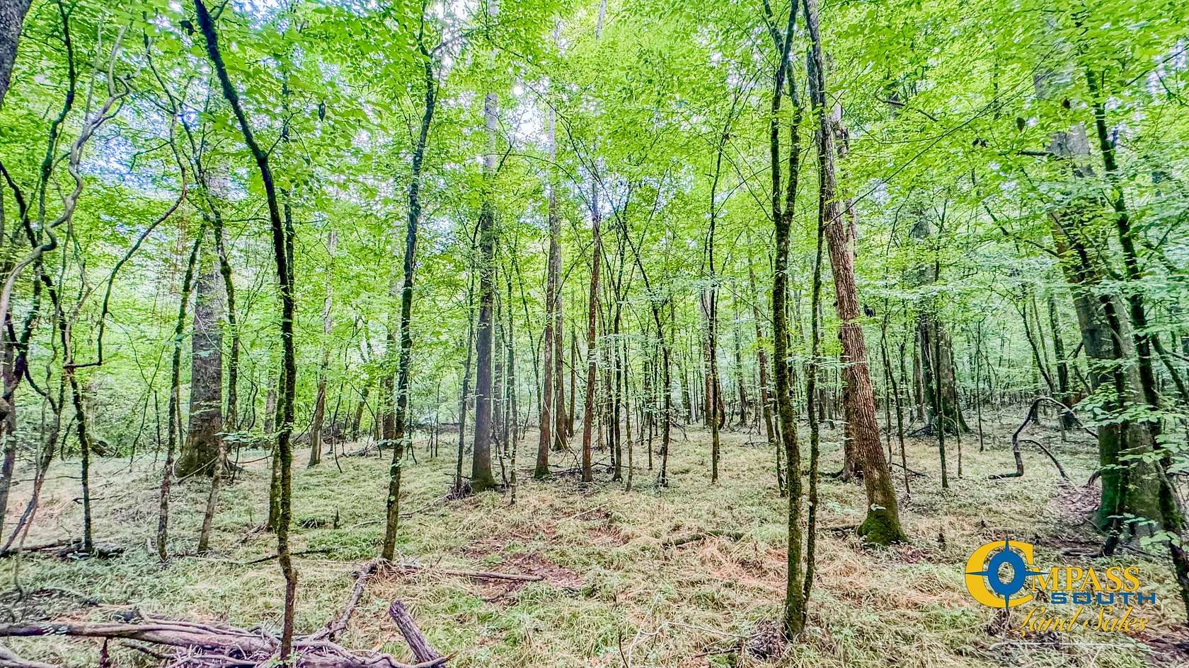 59 Acres of Recreational Land for Sale in The Rock, Georgia