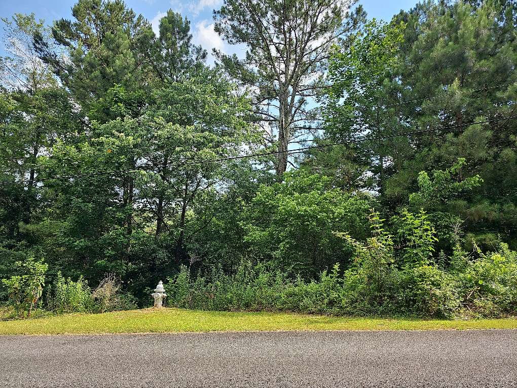 0.79 Acres of Land for Sale in Ellijay, Georgia