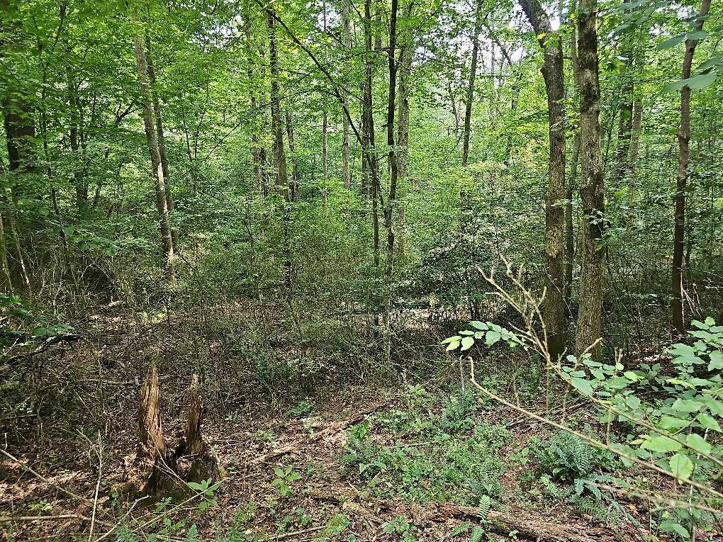 0.79 Acres of Land for Sale in Ellijay, Georgia