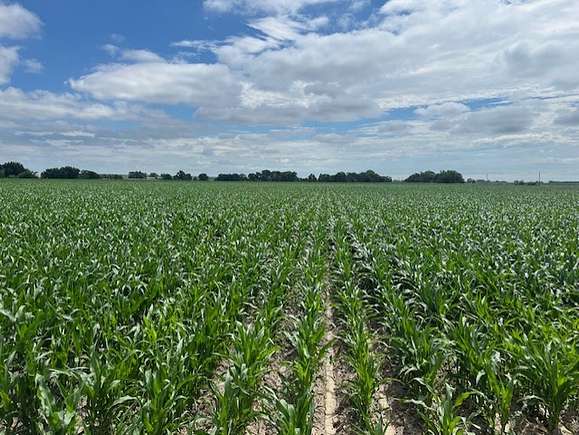 77.77 Acres of Recreational Land & Farm for Sale in Lexington, Nebraska