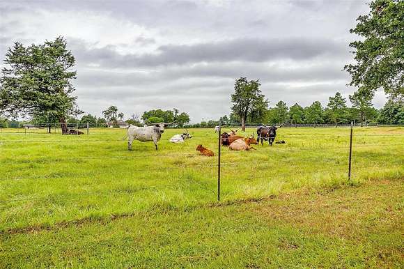 21.546 Acres of Land with Home for Sale in Terrell, Texas