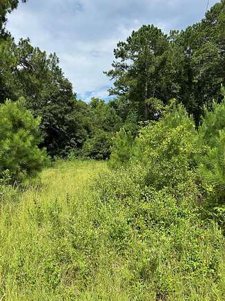 1.195 Acres of Land for Sale in Cordele, Georgia