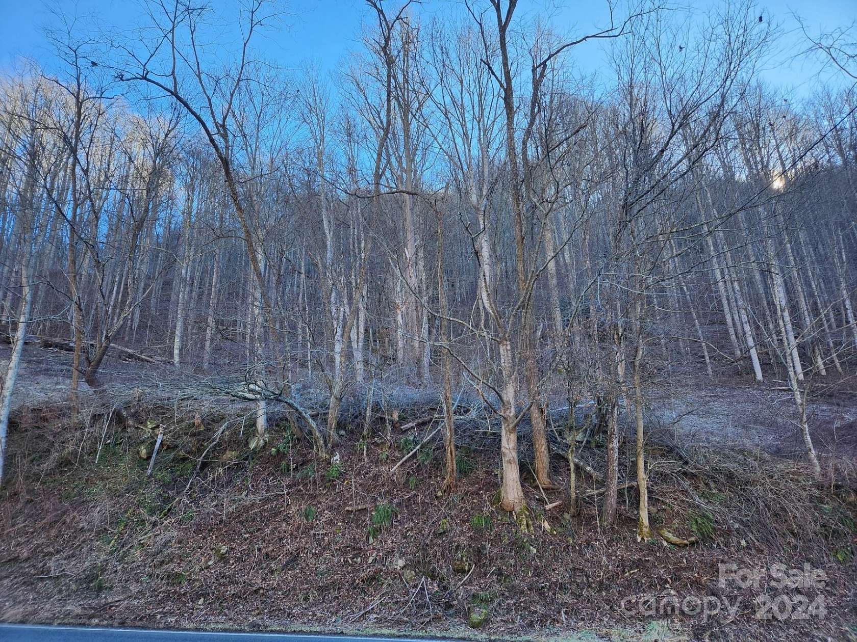 1 Acres of Land for Sale in Mars Hill, North Carolina