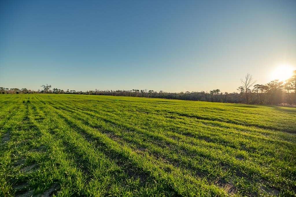 123 Acres of Land for Sale in Attapulgus, Georgia