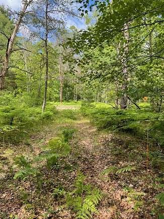 4 Acres of Land for Sale in Bitely, Michigan
