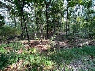 0.24 Acres of Residential Land for Sale in Bella Vista, Arkansas