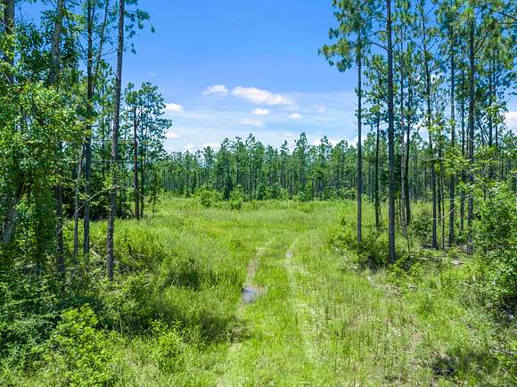 96.4 Acres of Land for Sale in Kinder, Louisiana