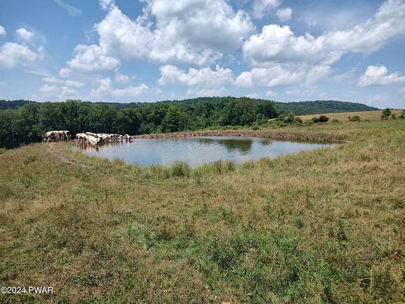 21.7 Acres of Recreational Land & Farm for Sale in Tyler Hill, Pennsylvania