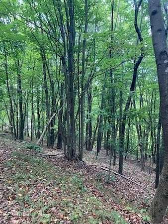 16.8 Acres of Land for Sale in Ferrum, Virginia