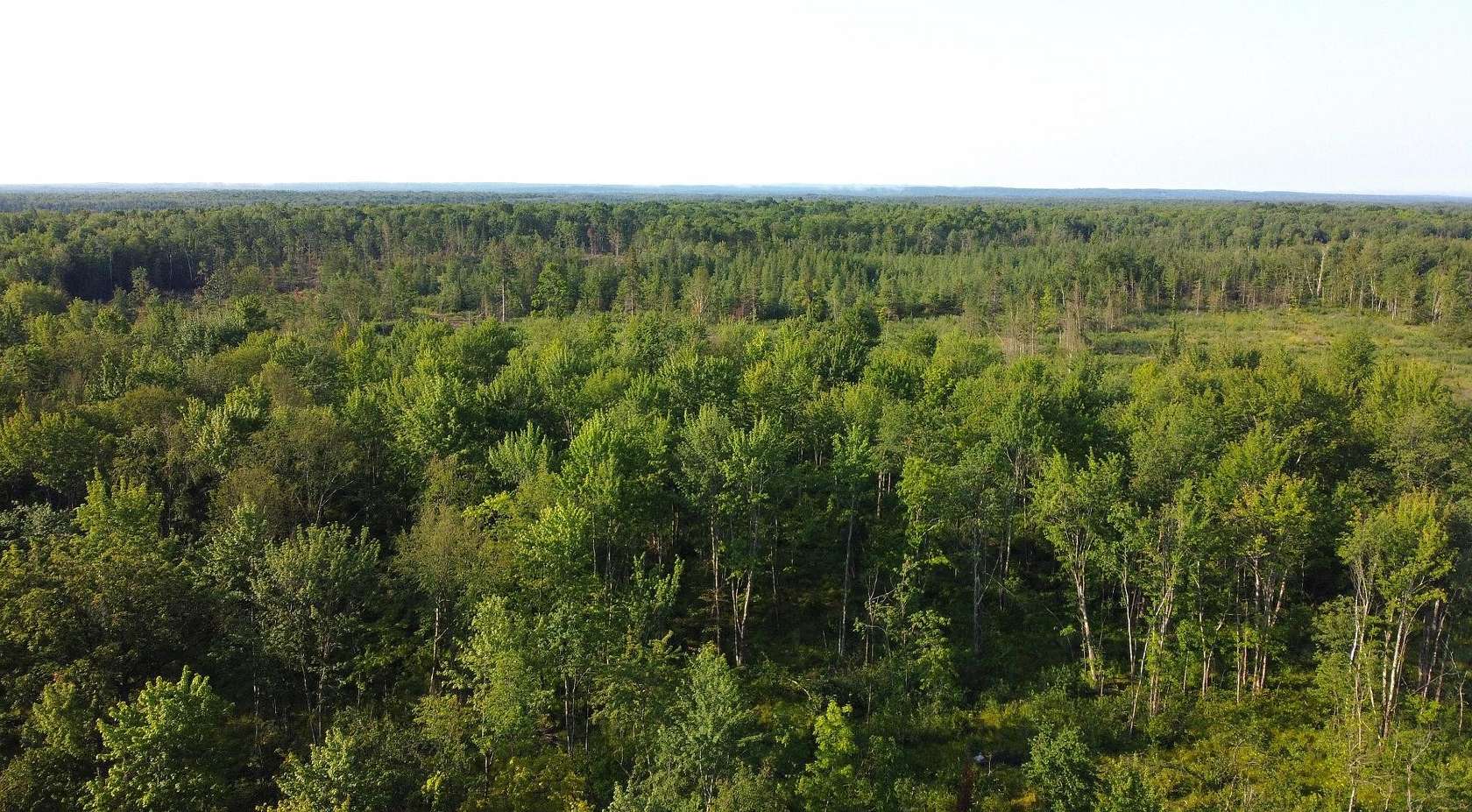 280 Acres of Recreational Land for Sale in Phillips, Wisconsin