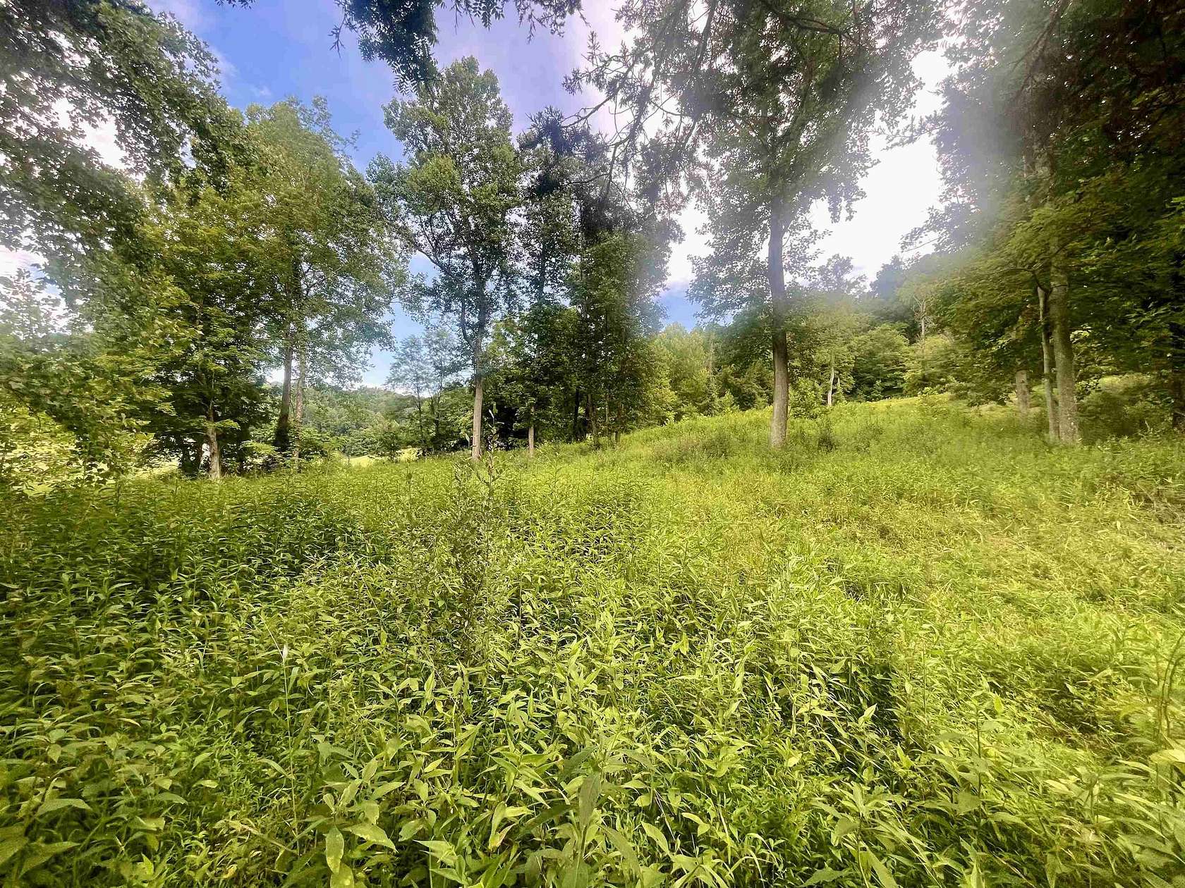 1 Acres of Residential Land for Sale in Barboursville, West Virginia