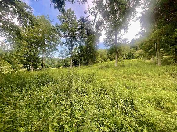 1 Acre of Residential Land for Sale in Barboursville, West Virginia