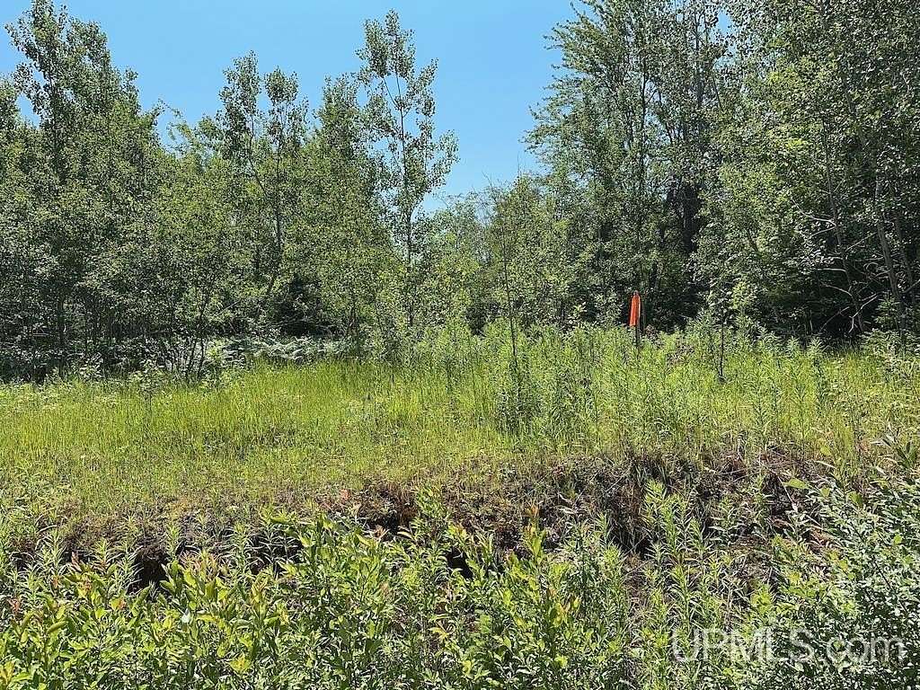 2 Acres of Residential Land for Sale in Grand Marais, Michigan