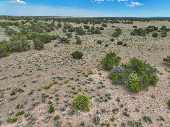 1.04 Acres of Residential Land for Sale in St. Johns, Arizona
