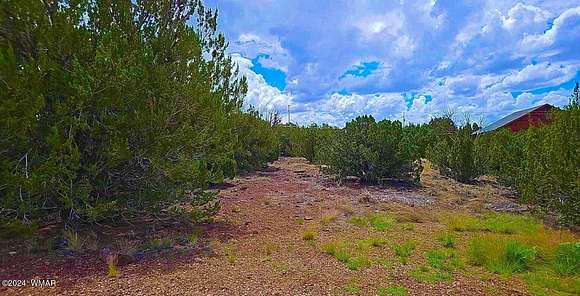 0.18 Acres of Residential Land for Sale in Show Low, Arizona