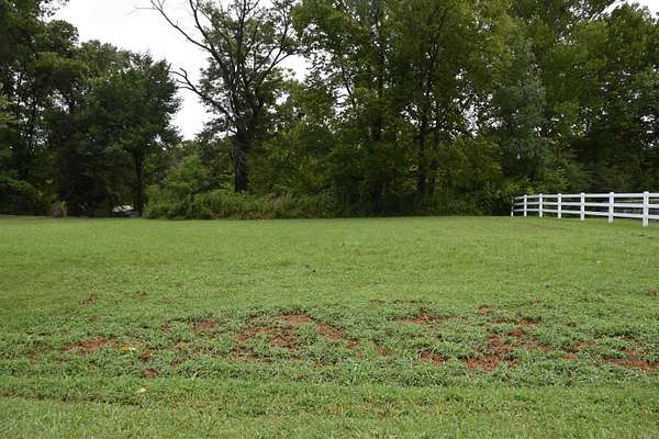 0.44 Acres of Land for Sale in Heber Springs, Arkansas