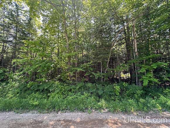 2 Acres of Residential Land for Sale in Grand Marais, Michigan