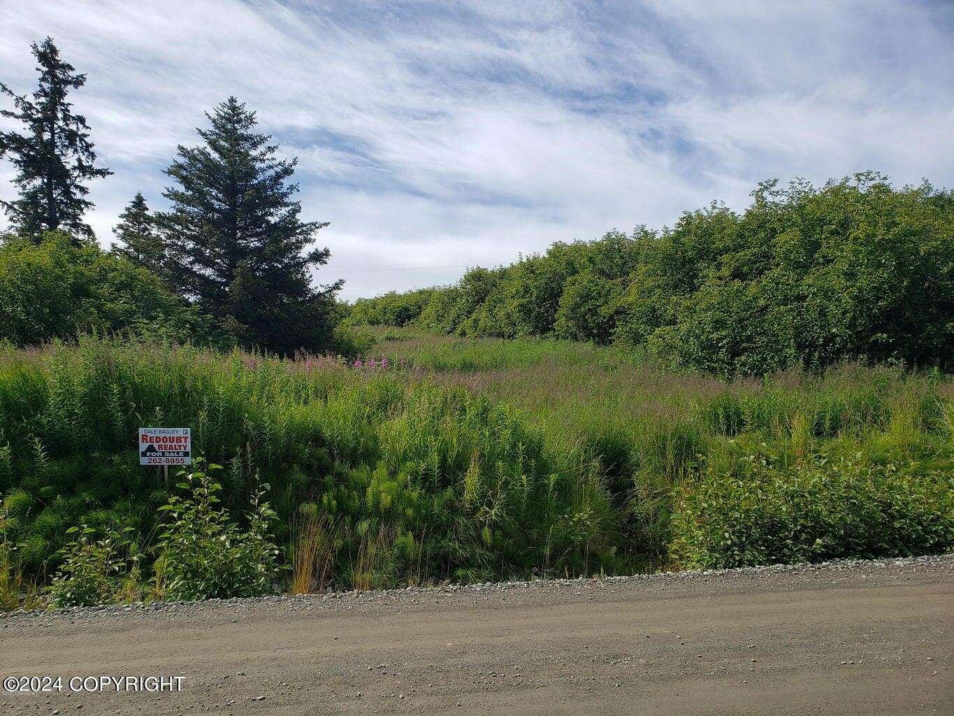 1 Acres of Residential Land for Sale in Homer, Alaska