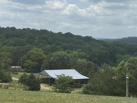 59.75 Acres of Recreational Land & Farm for Sale in Somerville, Alabama