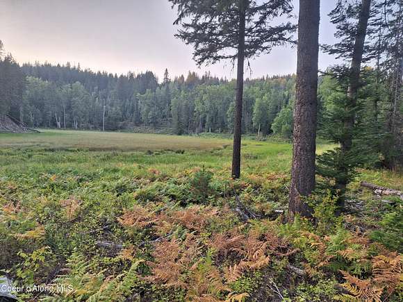 40 Acres of Recreational Land for Sale in Sandpoint, Idaho