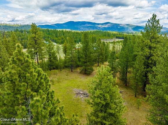 20 Acres of Improved Land for Sale in Blanchard, Idaho