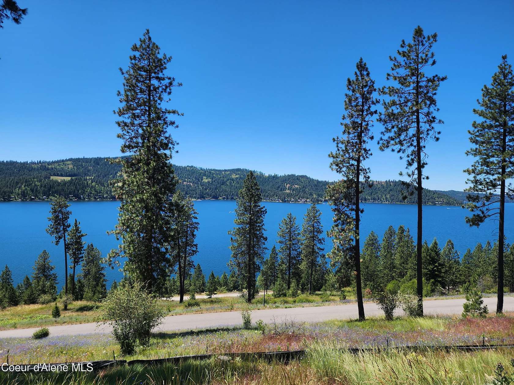 0.34 Acres of Land for Sale in Harrison, Idaho