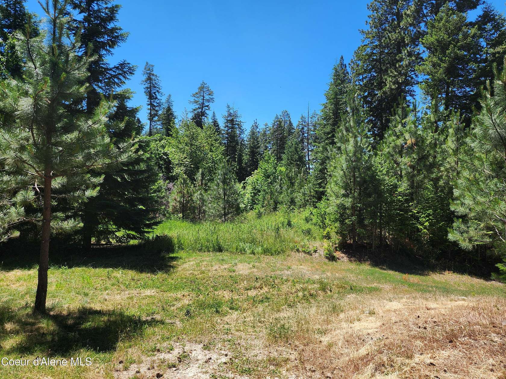 0.26 Acres of Land for Sale in Harrison, Idaho