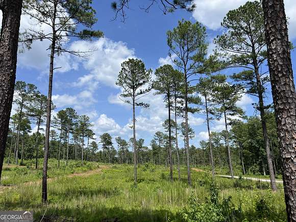 5.05 Acres of Agricultural Land for Sale in Forsyth, Georgia