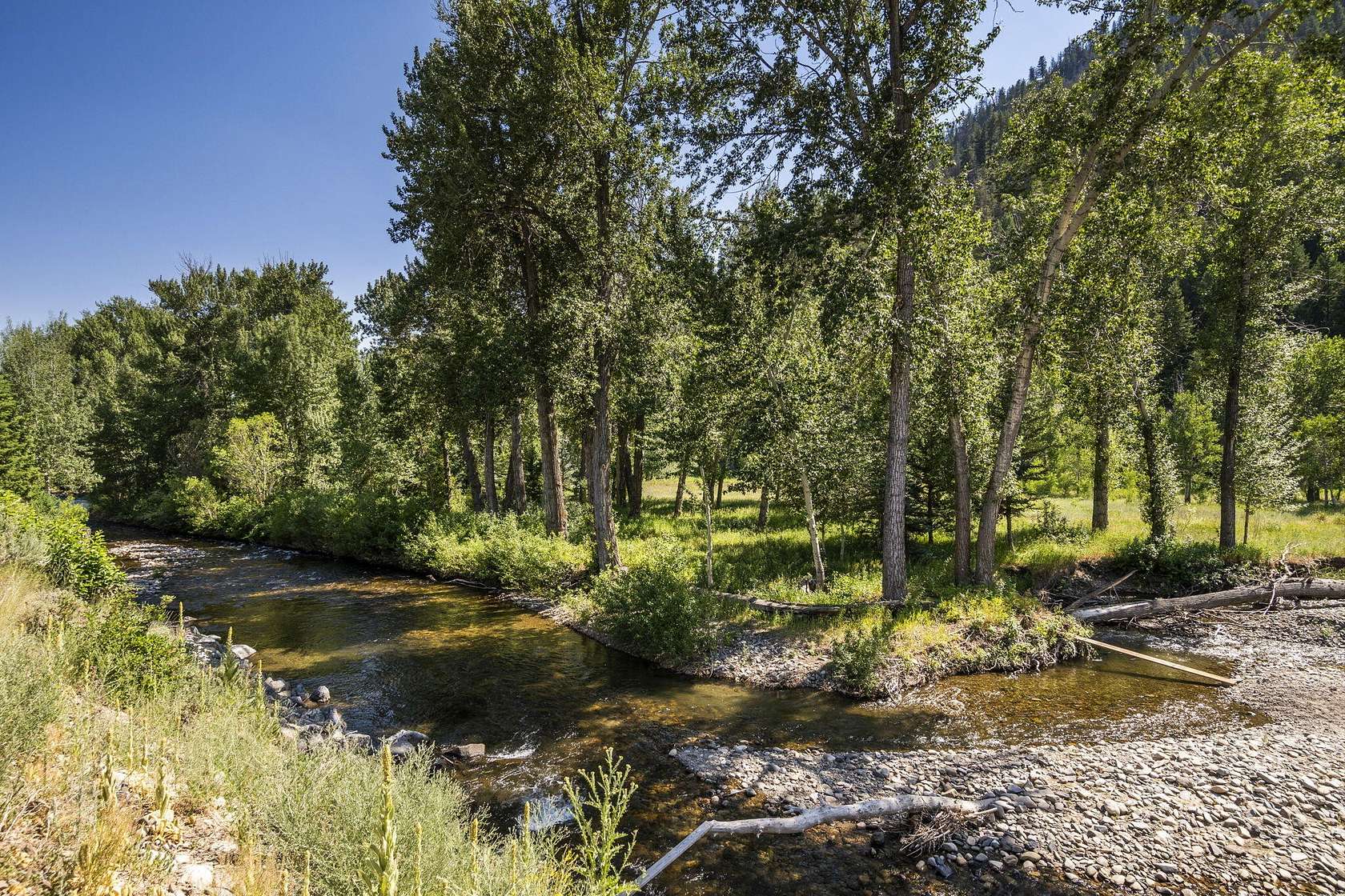 0.47 Acres of Residential Land for Sale in Ketchum, Idaho