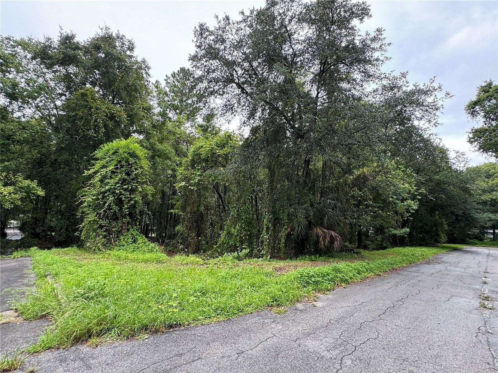 0.23 Acres of Residential Land for Sale in Brooksville, Florida
