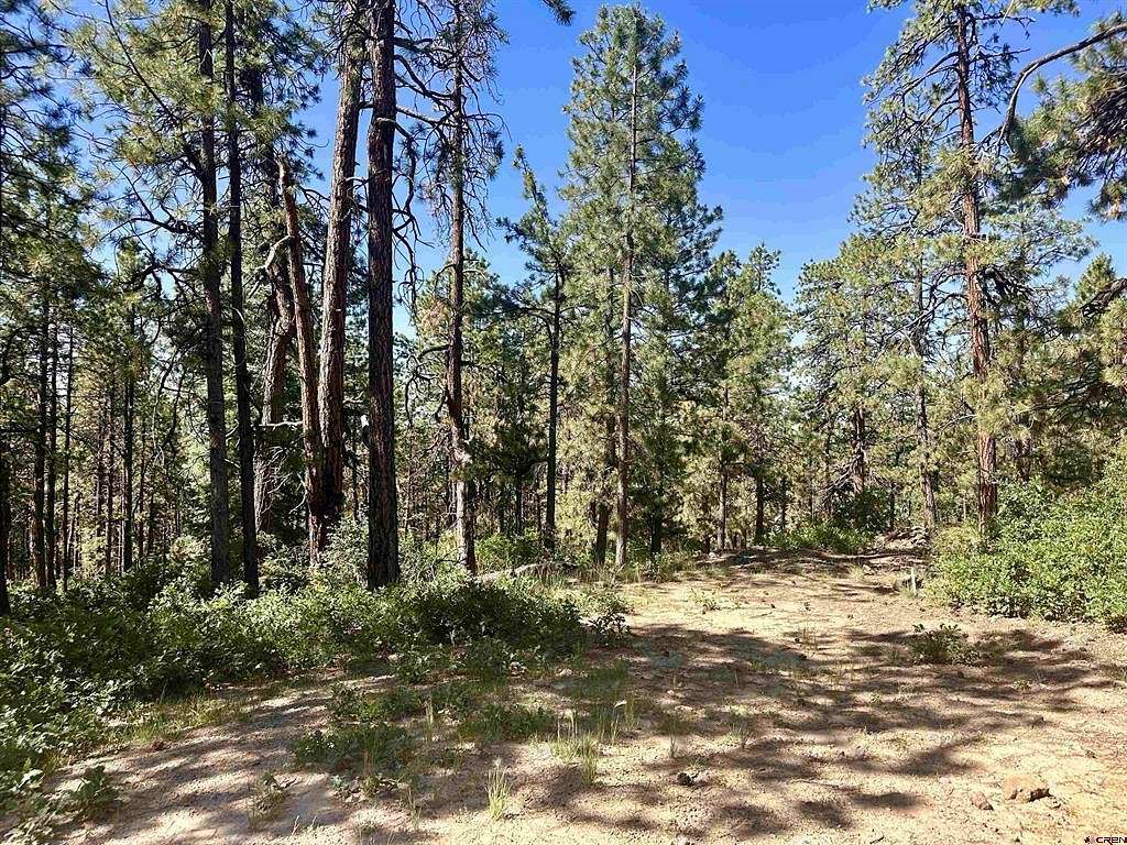 7.02 Acres of Residential Land for Sale in Bayfield, Colorado