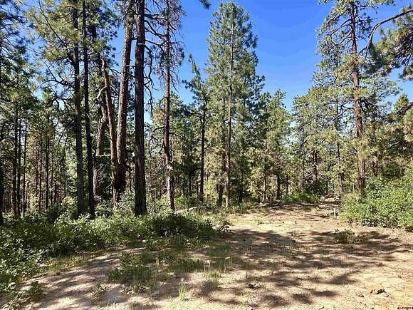 7.02 Acres of Residential Land for Sale in Bayfield, Colorado