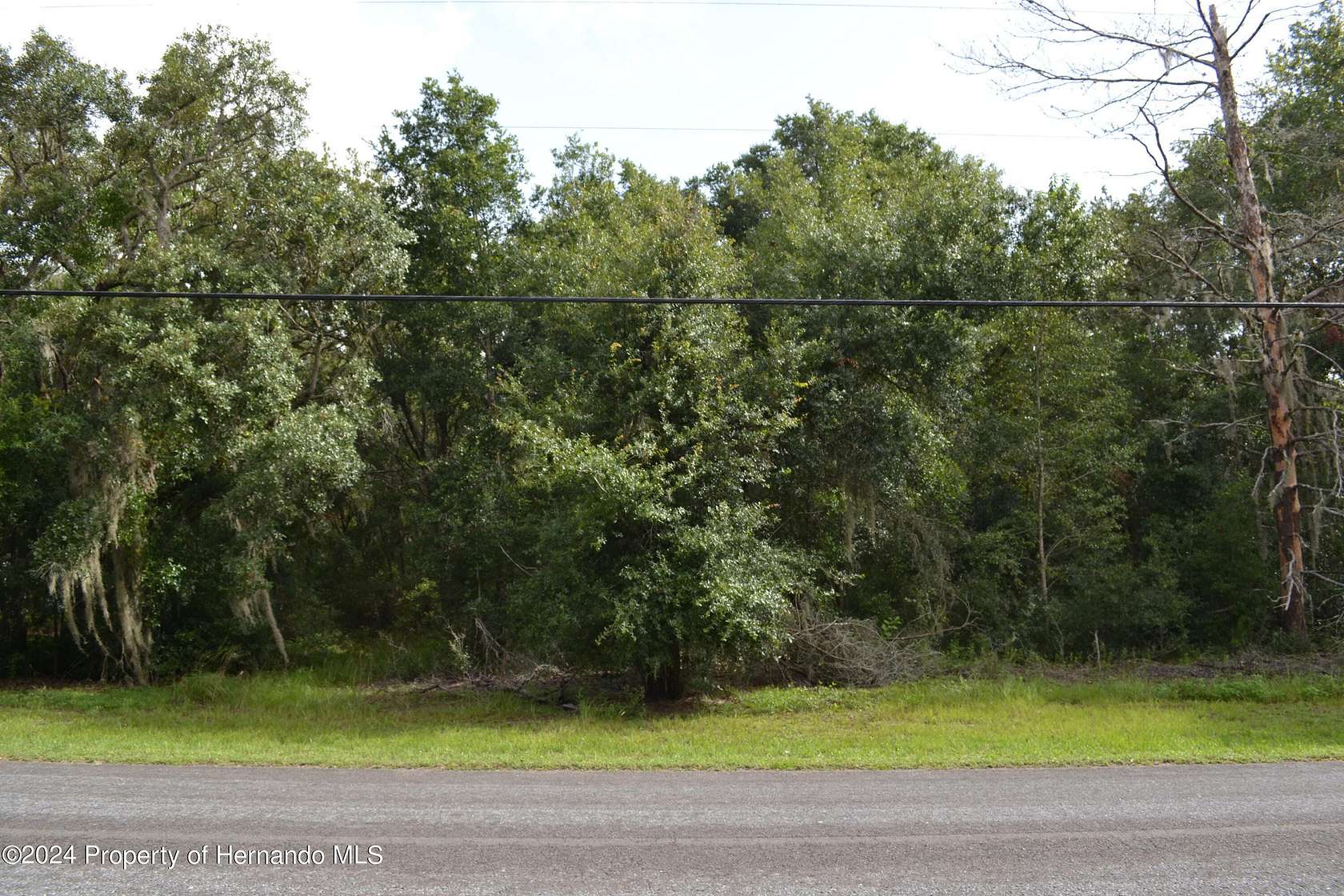 1.474 Acres of Residential Land for Sale in Hernando, Florida