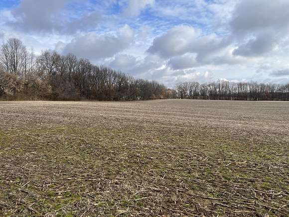 28.71 Acres of Land for Sale in Springport, Michigan