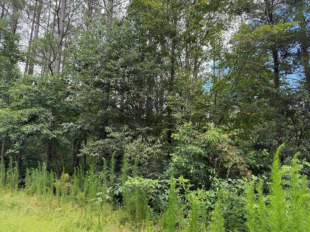 3.13 Acres of Residential Land for Sale in Ellijay, Georgia