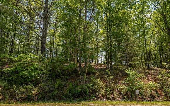 0.66 Acres of Residential Land for Sale in Mineral Bluff, Georgia