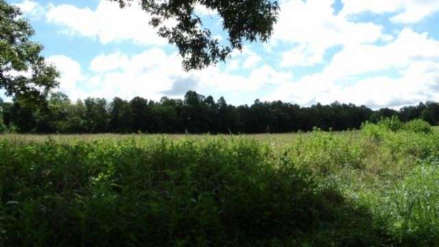 8 Acres of Residential Land for Sale in Gainesboro, Tennessee