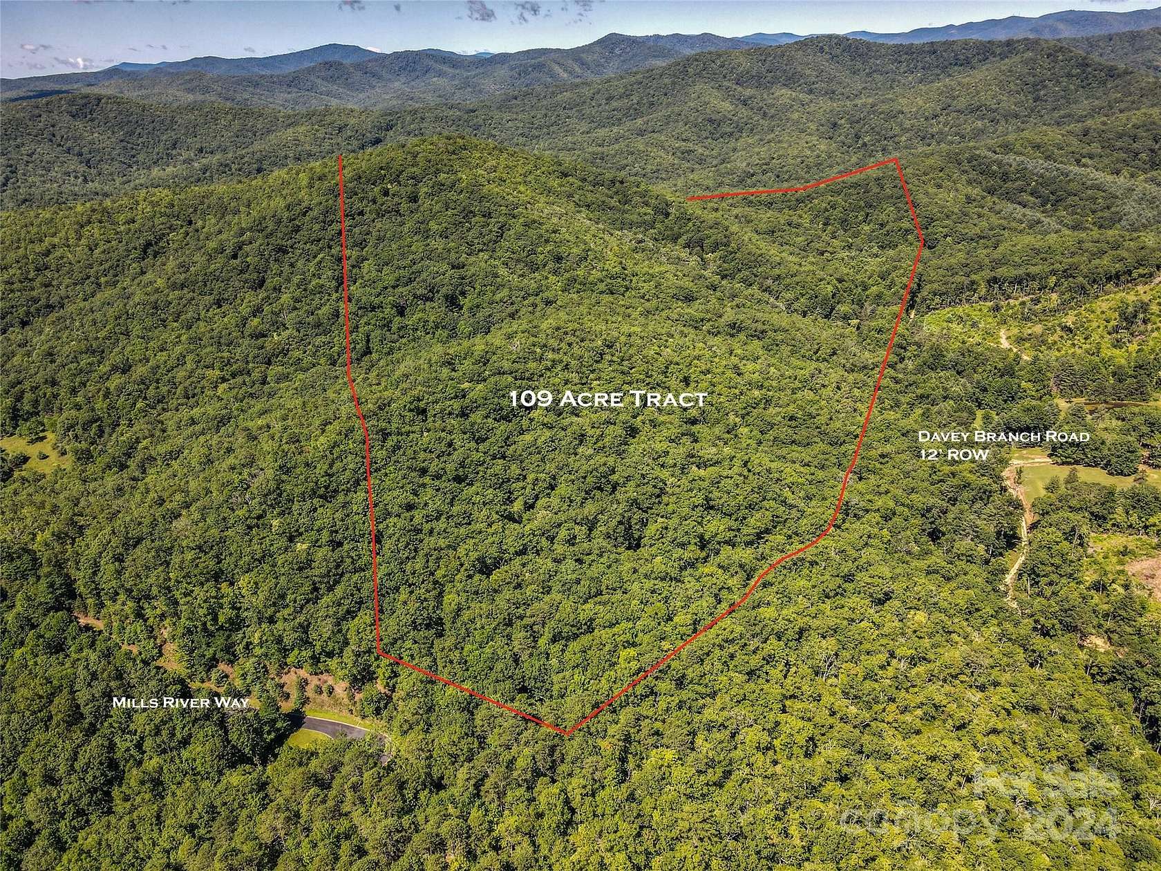 109.56 Acres of Recreational Land for Sale in Horse Shoe, North Carolina