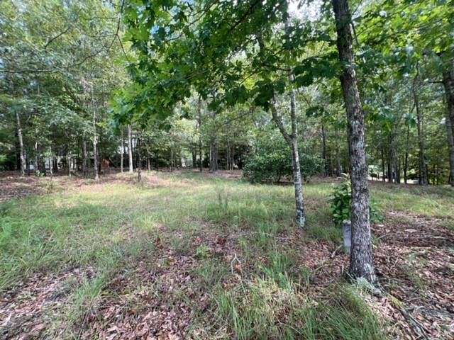 0.82 Acres of Residential Land for Sale in Pine Mountain, Georgia