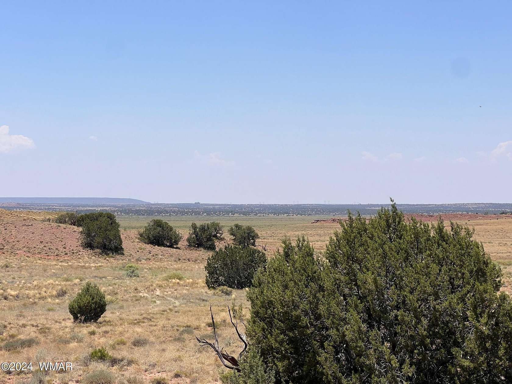 36.5 Acres of Land for Sale in Concho, Arizona