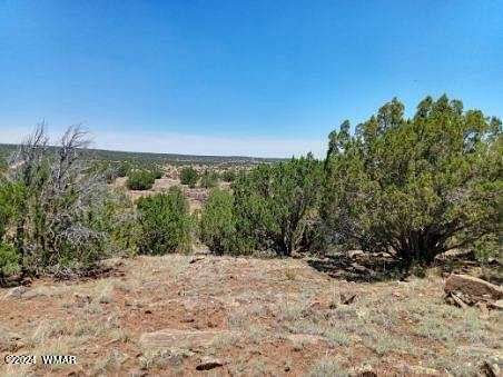 38.54 Acres of Land for Sale in Concho, Arizona