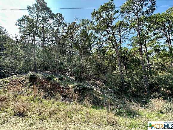 0.224 Acres of Residential Land for Sale in Bastrop, Texas