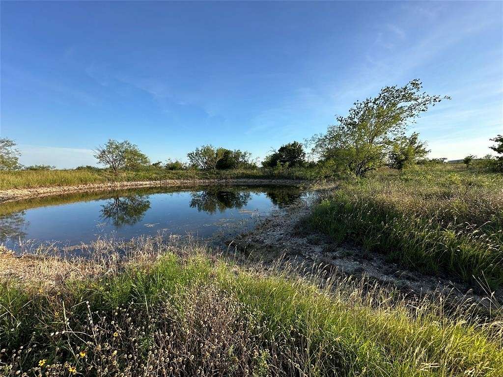 53.513 Acres of Agricultural Land for Sale in Hamilton, Texas